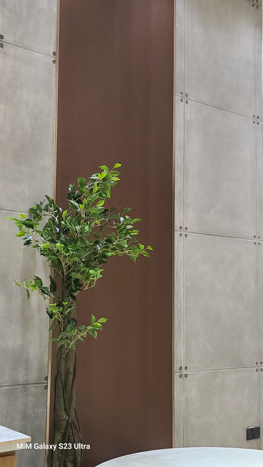 candour-real-sstate- office-8